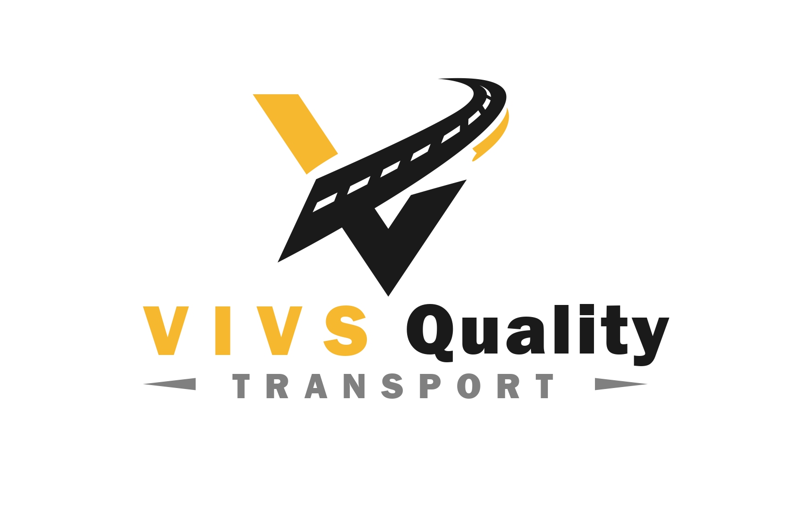 VIVS Quality Logo